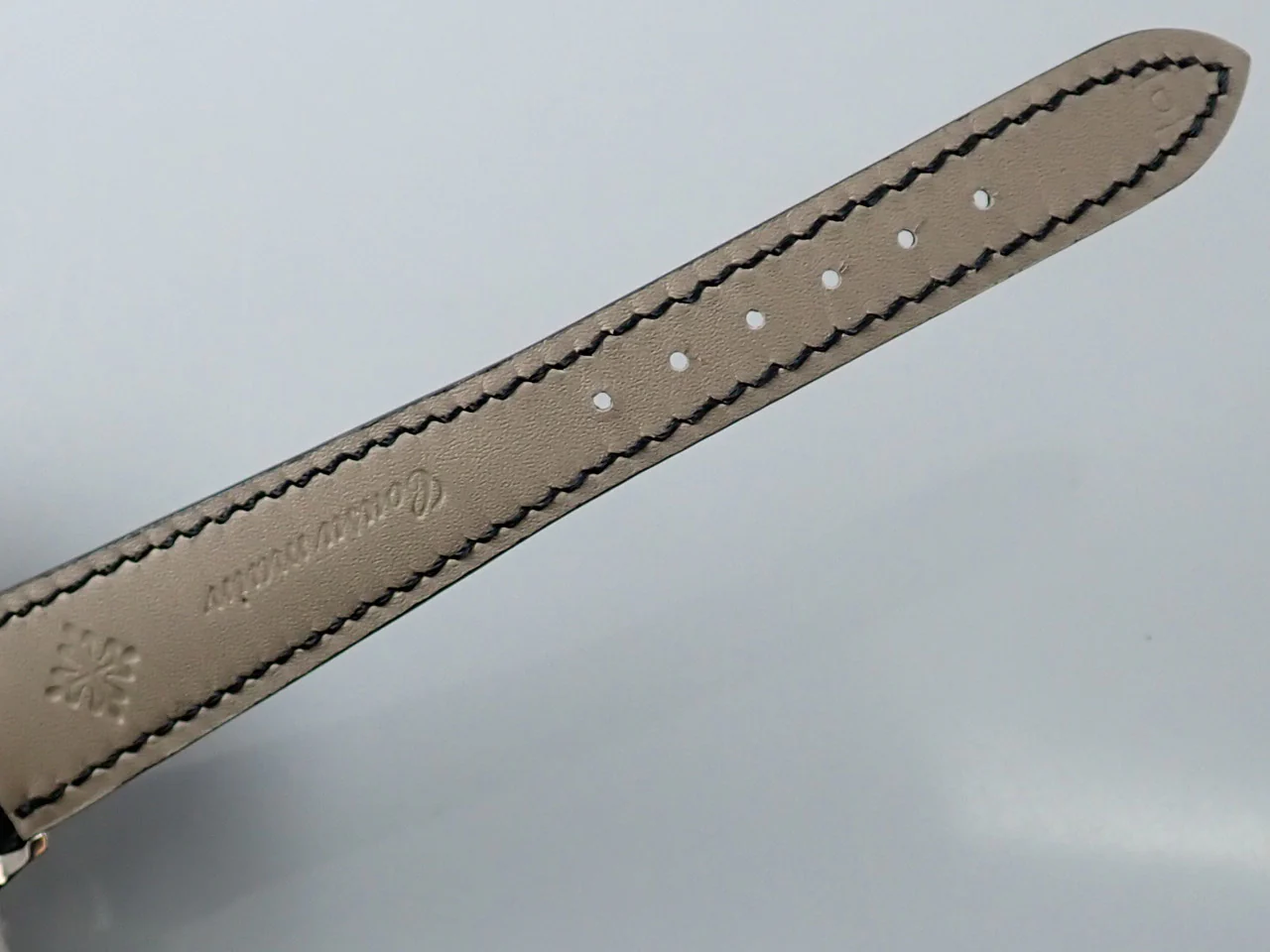 パテックフィリップ コンプリケーション ワールドタイム Ref.5110P-001 プラチナ ブルー文字盤 - Image 11