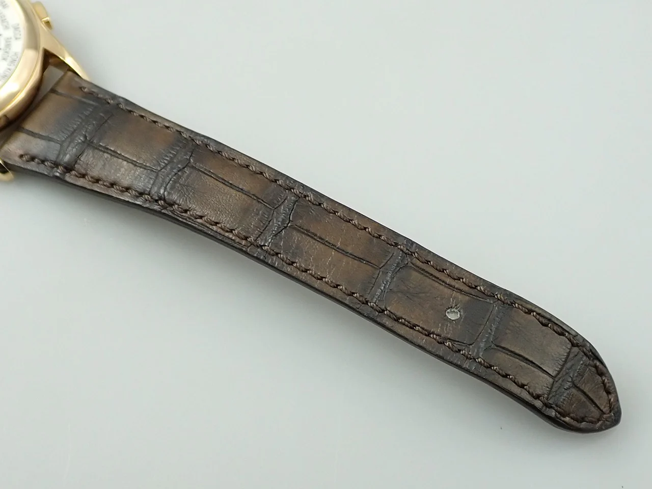 パテックフィリップ コンプリケーション ワールドタイム Ref.5110J-001 イエローゴールド シルバー文字盤 - Image 10